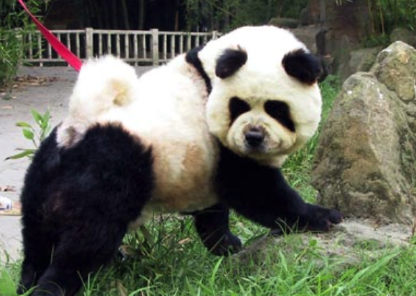 給“假行家”們上一堂在線旅游專業(yè)課