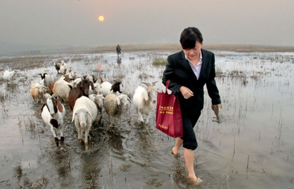 想做普惠金融，京東和媒體都別怕把手弄臟