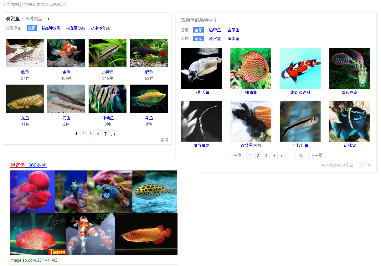 觀(guān)賞魚(yú).png