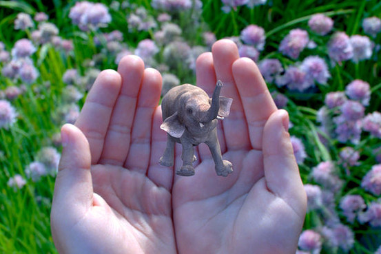 來認識下谷歌領投5.42億美元的這家視覺技術初創(chuàng)公司——Magic Leap