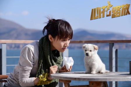 美團貓眼聯(lián)合出品寧浩新片：票房才是電影產(chǎn)業(yè)的核心