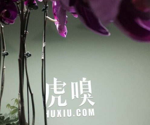 夜也野耶！帶你去看創(chuàng)投分享會搬家暖房趴