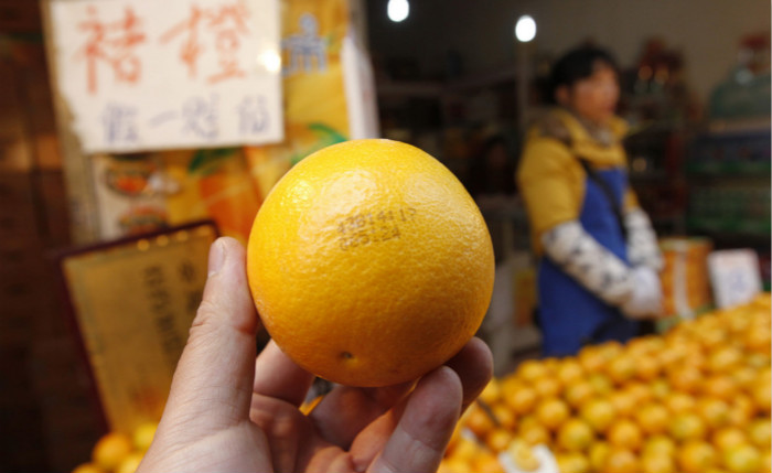 順豐優(yōu)選VS本來生活：生鮮電商之溫柔批判