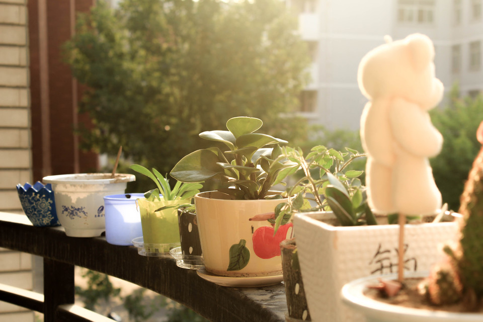 上門家政O2O“熊管家”近期完成600萬元天使投資