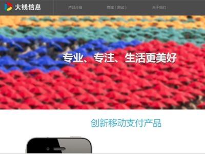 互聯(lián)網(wǎng)金融支付平臺(tái)——大錢信息